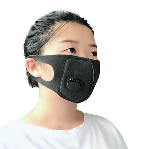 Pollution Filter Mask
